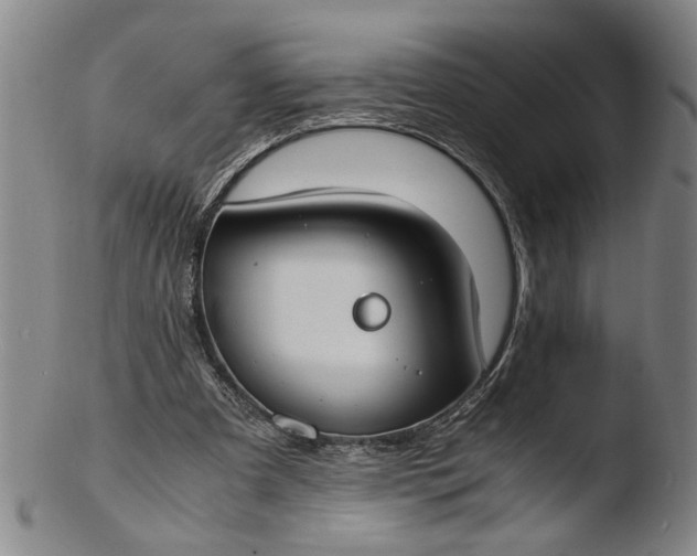 X0000103430297200809261737