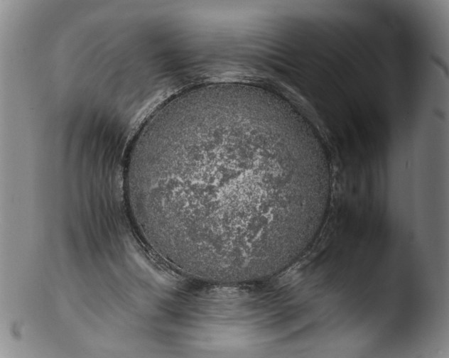 X0000103430298200809261737