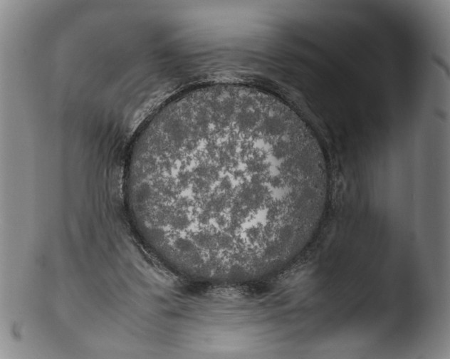 X0000103430299200809261737