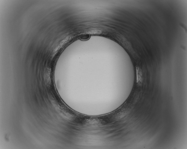 X0000103430300200809261737