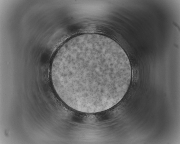 X0000103430301200809261737