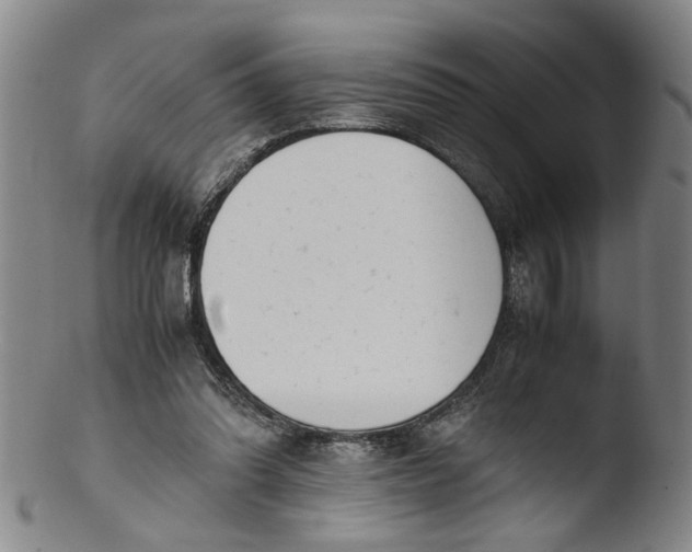 X0000103430302200809261737