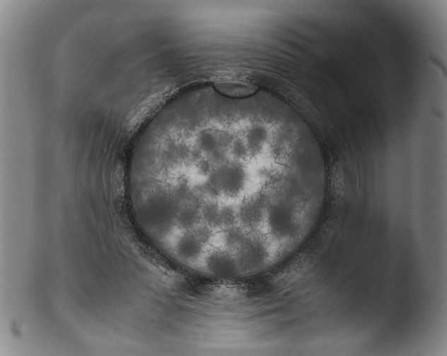 X0000103430303200809261737