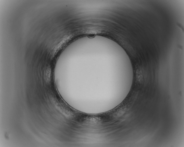 X0000103430304200809261737