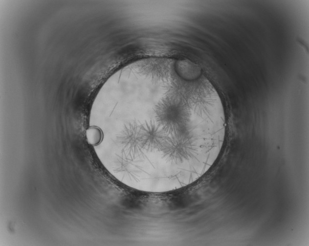 X0000103430305200809261737