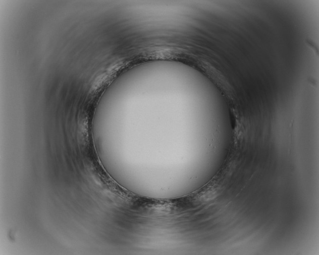 X0000103430306200809261737