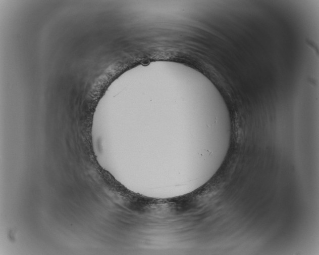 X0000103430307200809261737