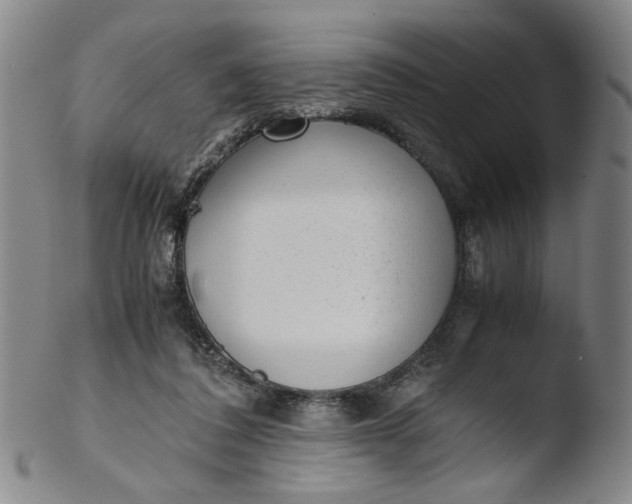 X0000103430308200809261737