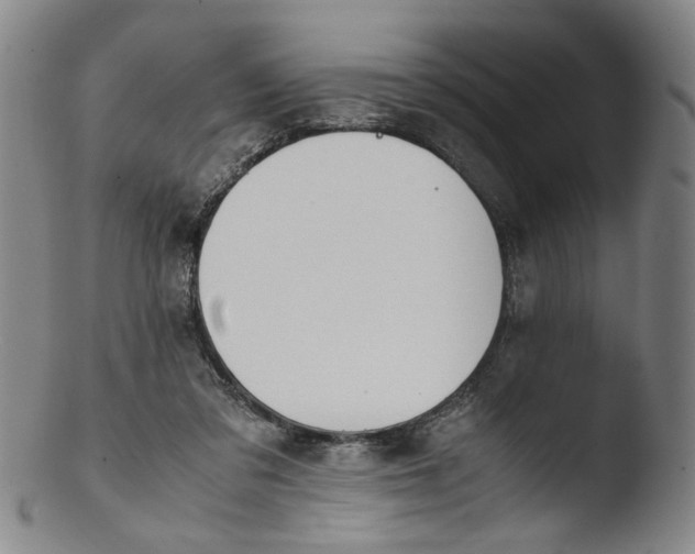 X0000103430309200809261737