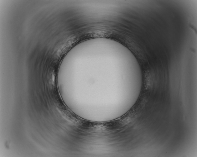 X0000103430310200809261737