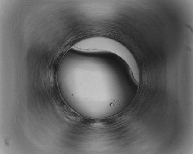 X0000103430312200809261737