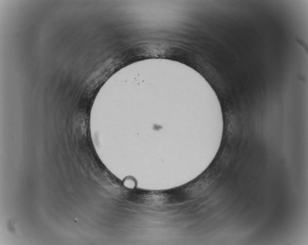 X0000103430313200809261737