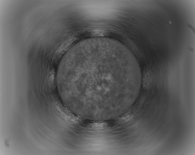 X0000103430314200809261737