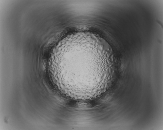 X0000103430315200809261737