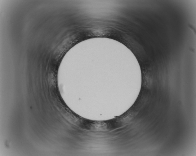 X0000103430317200809261737