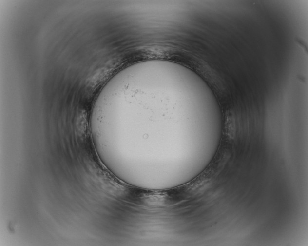 X0000103430318200809261737