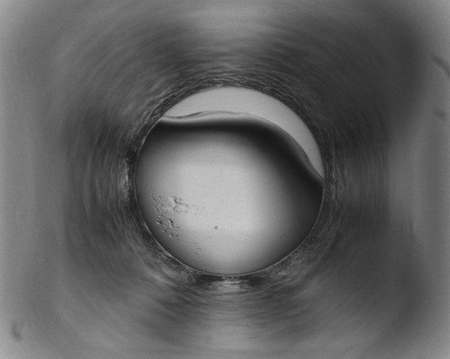 X0000103430320200809261737