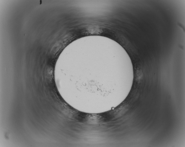 X0000103430321200809261737