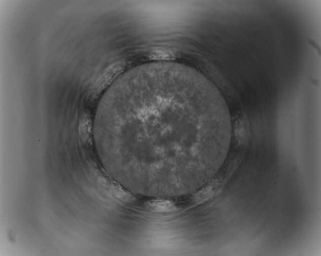 X0000103430322200809261737