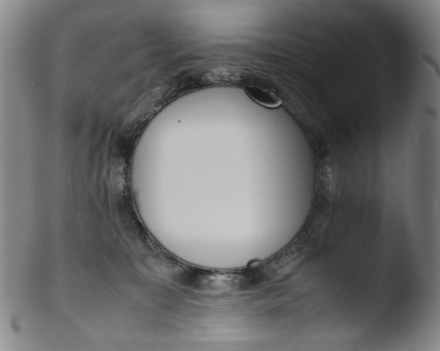 X0000103430323200809261737