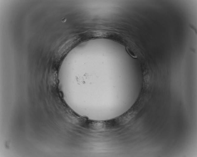 X0000103430325200809261737