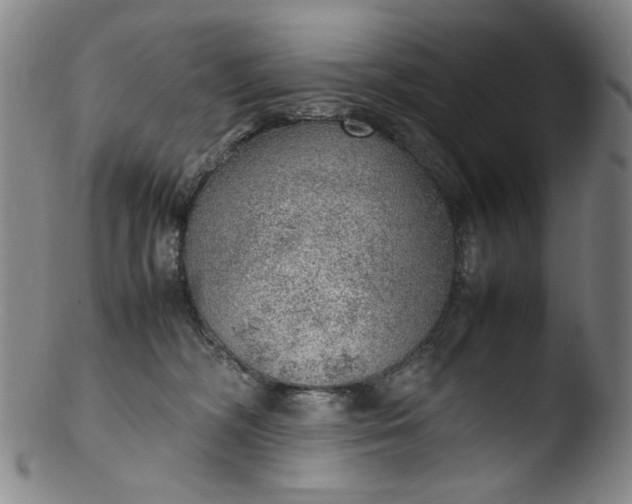 X0000103430326200809261737