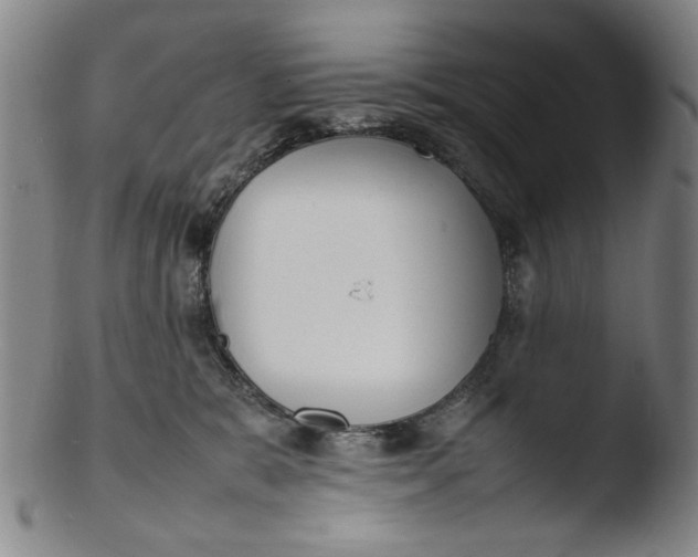 X0000103430327200809261737