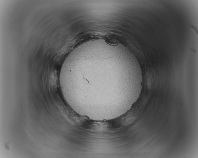 X0000103430328200809261737