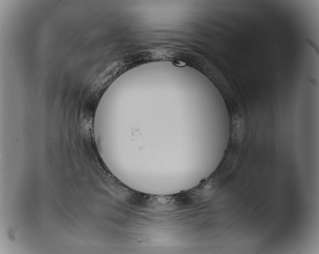 X0000103430329200809261737