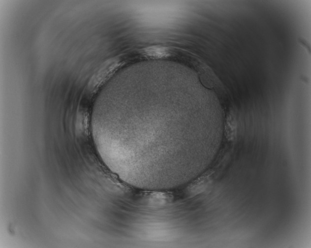 X0000103430330200809261737