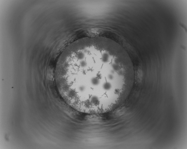 X0000103430331200809261737