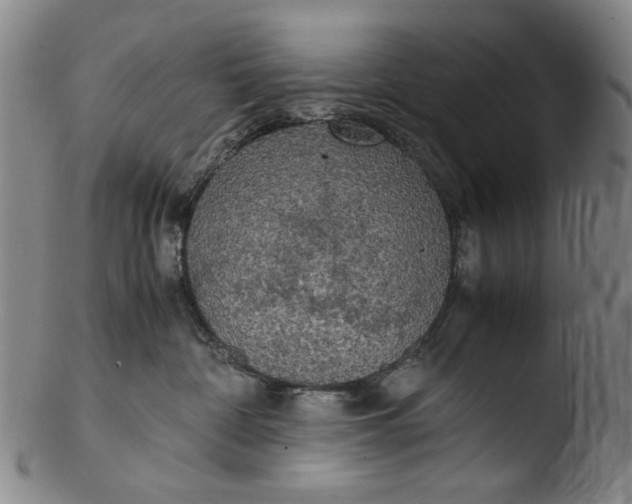 X0000103430332200809261737