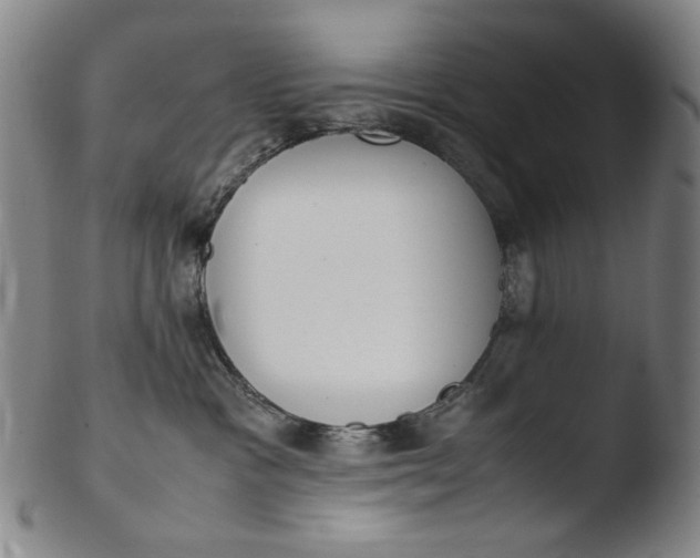 X0000103430333200809261736