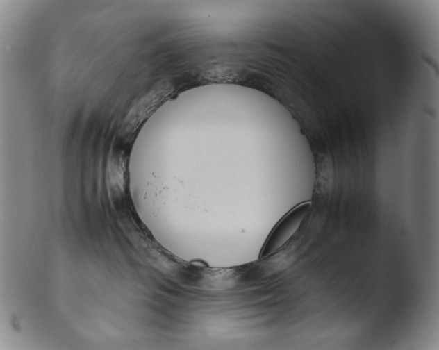 X0000103430334200809261736