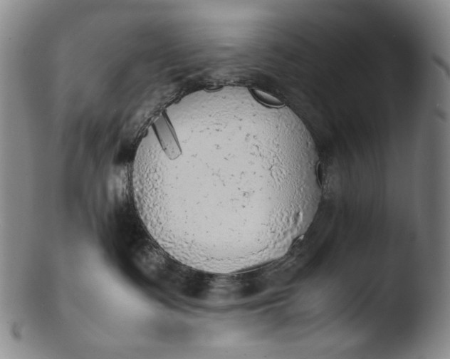 X0000103430335200809261736