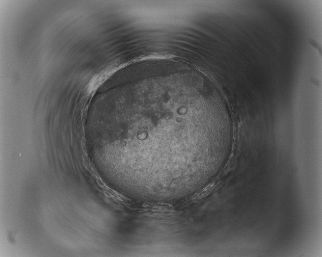 X0000103430337200809261736