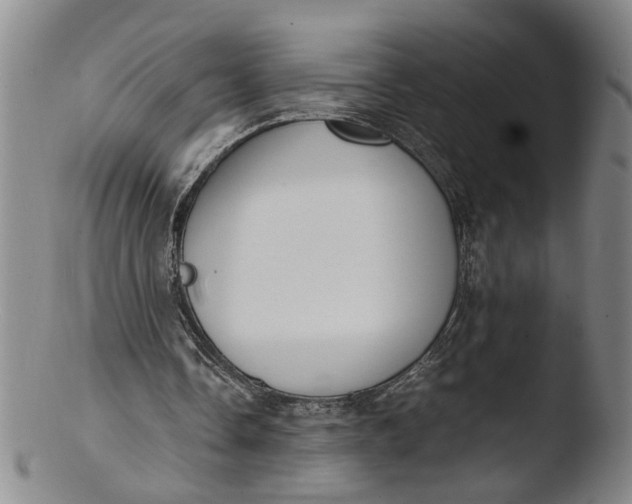 X0000103430338200809261736