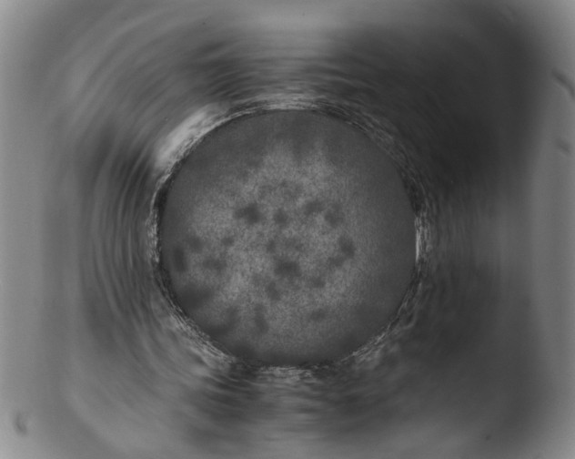 X0000103430339200809261736