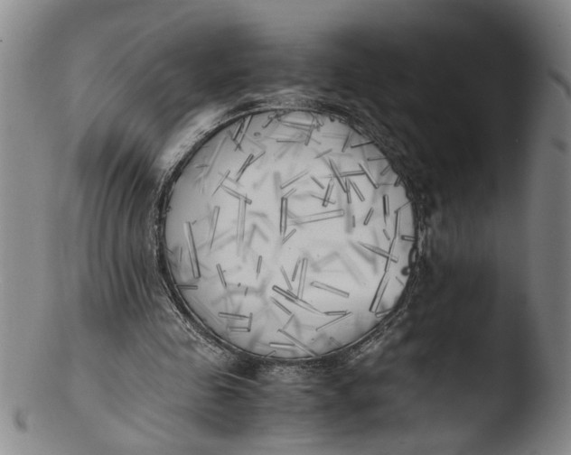 X0000103430341200809261736