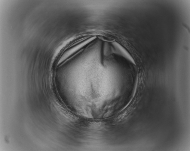 X0000103430342200809261736