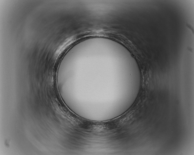 X0000103430344200809261736