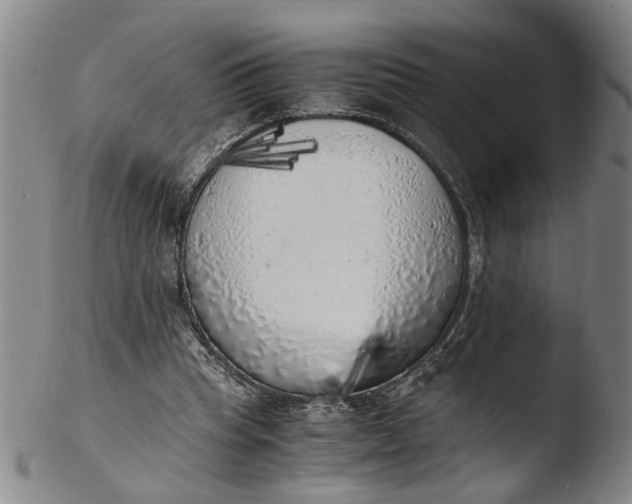 X0000103430345200809261736