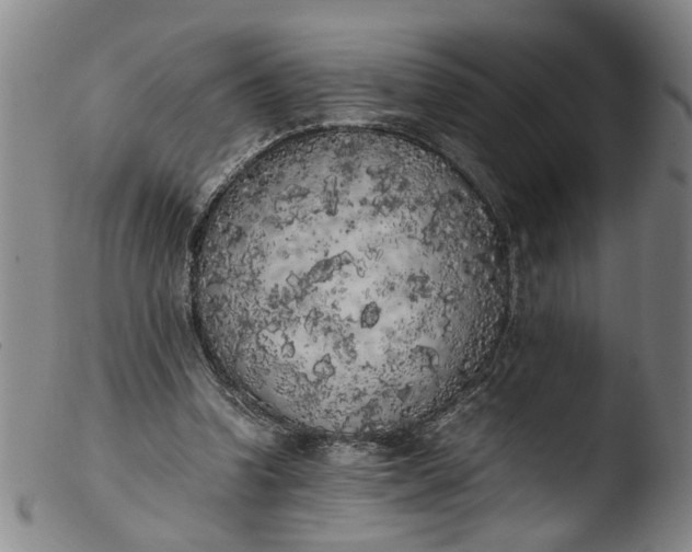 X0000103430346200809261736