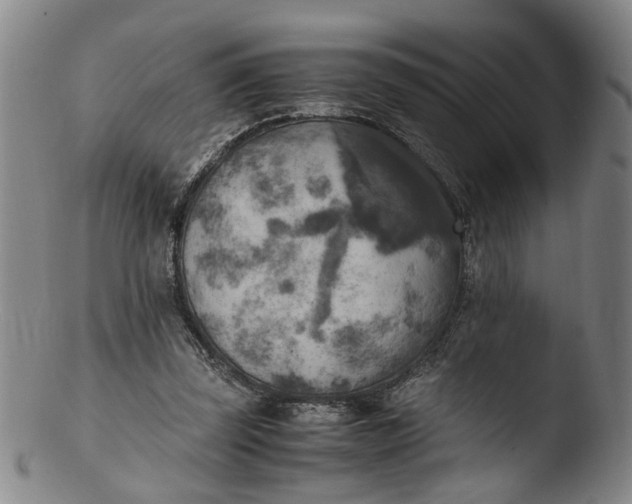 X0000103430347200809261736