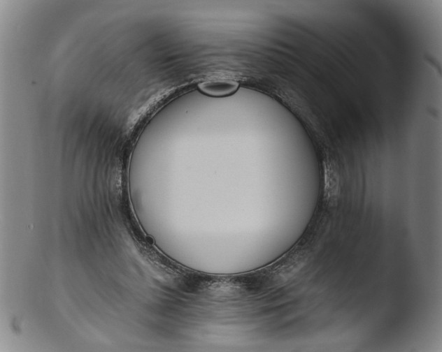 X0000103430348200809261736