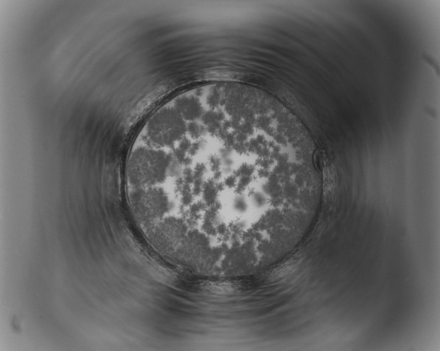 X0000103430349200809261736