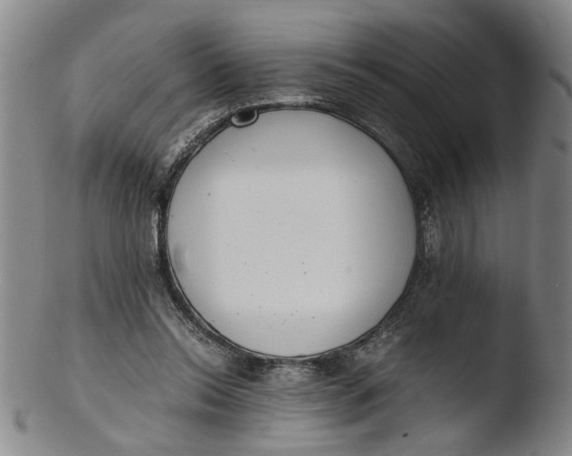 X0000103430350200809261736