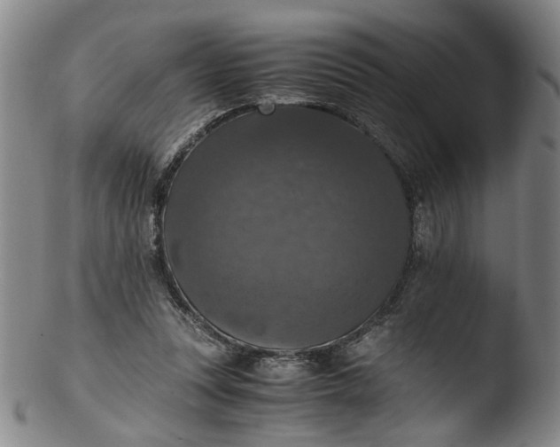 X0000103430351200809261736