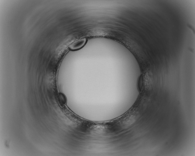 X0000103430352200809261736