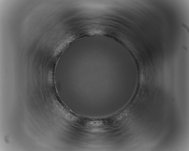 X0000103430353200809261736